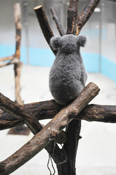 �������������̃R�A��