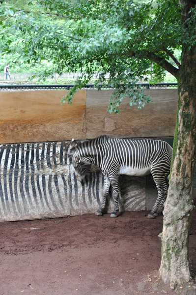 �������������̃V�}�E�}