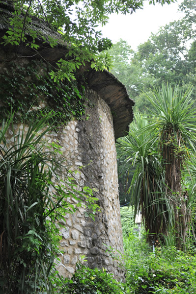 �������������̃L������