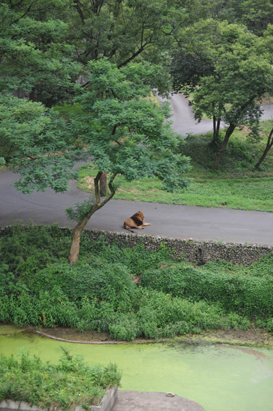 �������������̃��C�I��