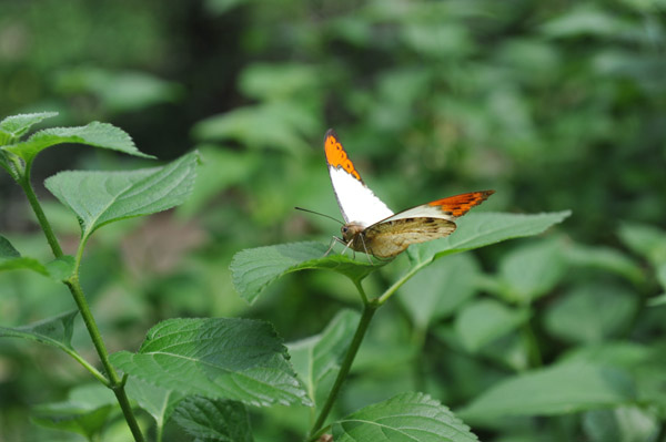 �������������̍����ق̒�