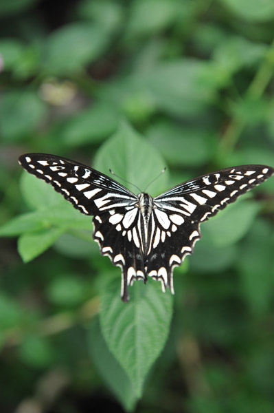 �������������̍����ق̒�