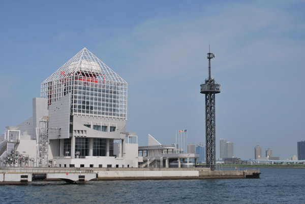 ���C�q�D�^�[�~�i��