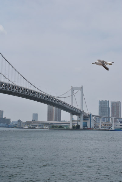 ����o�X�̉���f�b�L����