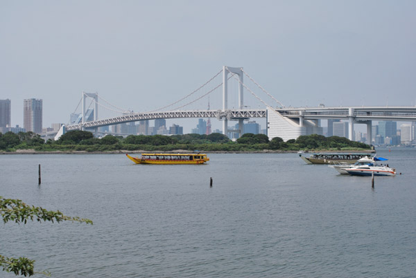 �����p�݂̕��i