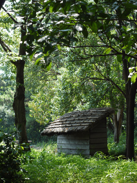 �����`�쒹����