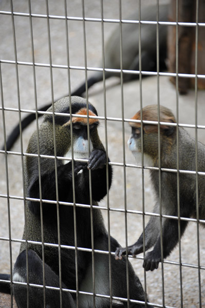 ��쓮�������̃u���b�U�O�G�m��