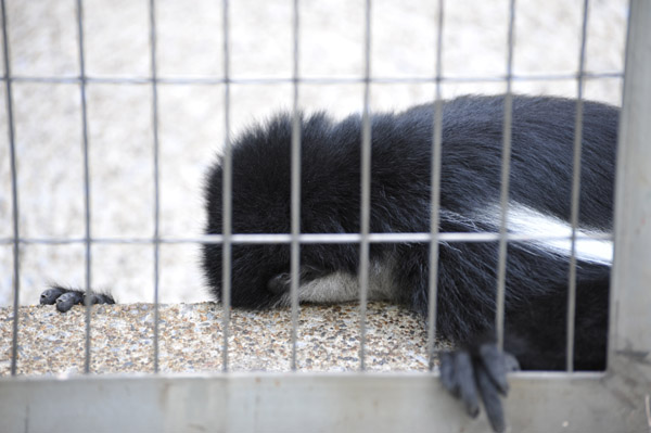 �A�r�V�j�A�R���u�X