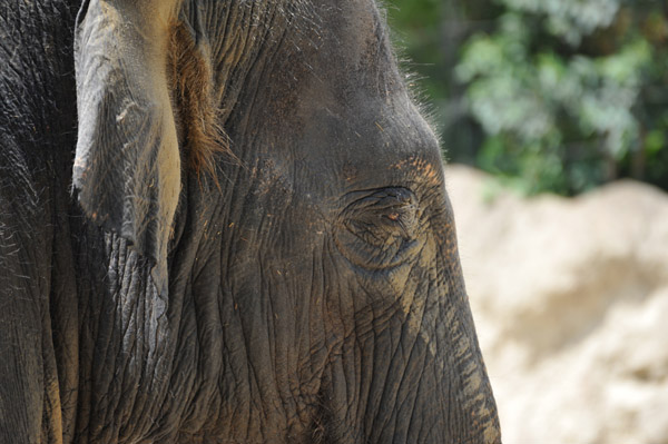 ��쓮�������̏�