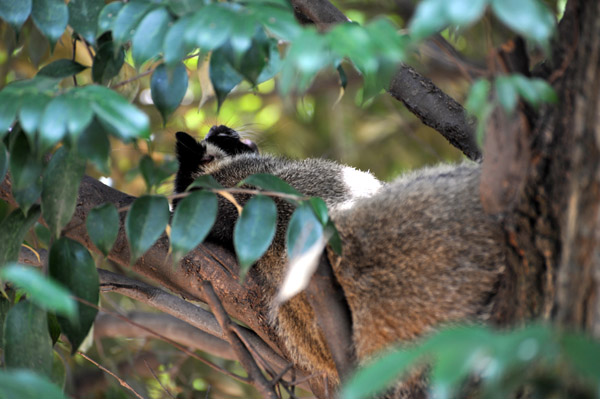 ��쓮�������̃n�N�r�V��