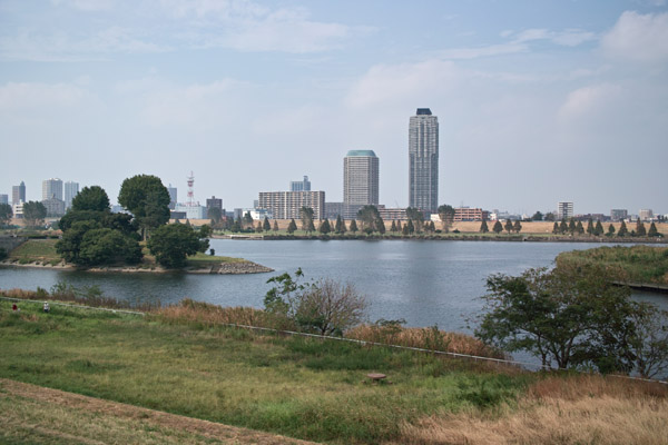 �y�肩��̍r��Ԑ���Βn