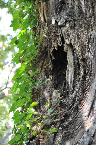 �뉀���p��