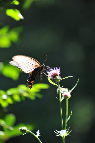 �_�������~�肽