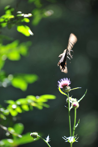 �_�������~�肽