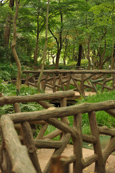 �L�������