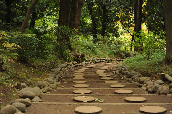 �L�������