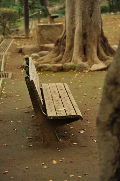 �L�������