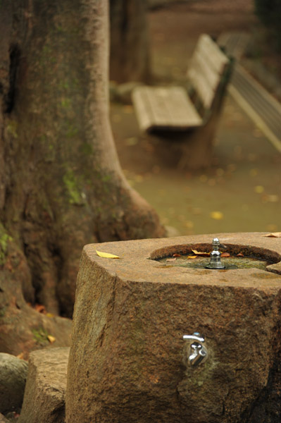 �L�������