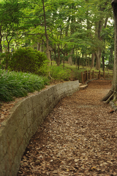 �L�������