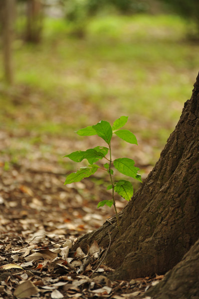 �L�������