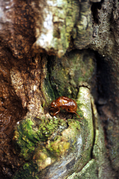 �L�������