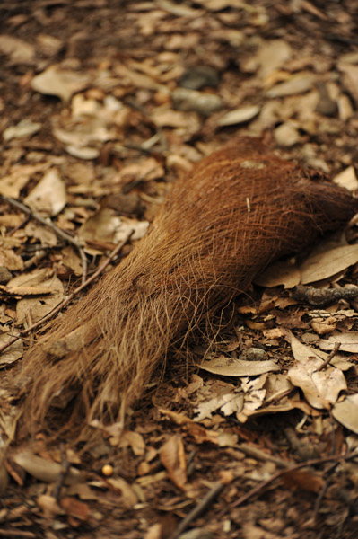 �L�������