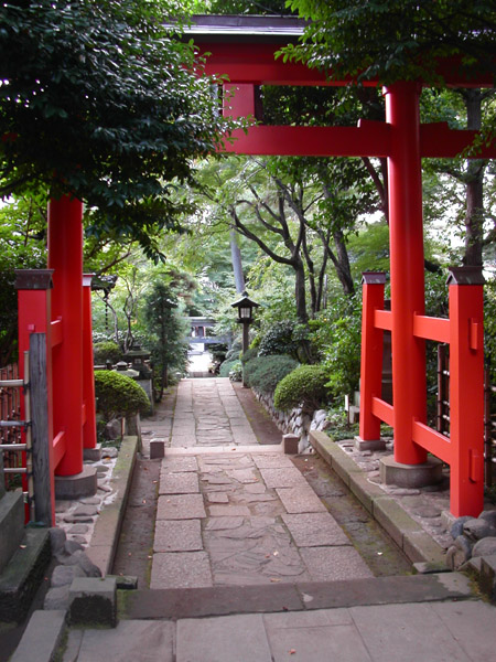 DiMAGE F100�ŎB�e�����X��_�Ђ̋���