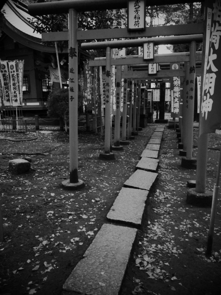 �g�C�J���������H