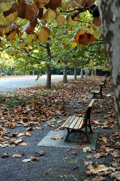 �V�h�䉑�̃x���`