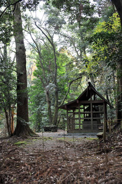 �H�̑����X�щȊw��