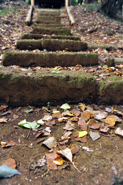 �����R�_�̎Q��