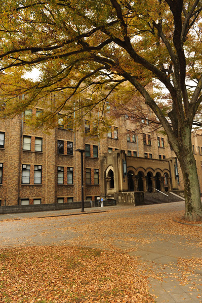 ������w�{���L�����p�X�̍g�t