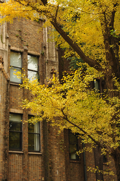 ������w�̍g�t