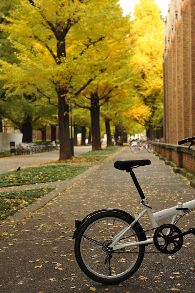 ������w�̍g�t