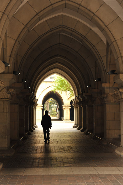 ������w�̍g�t