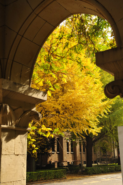 ������w�̍g�t