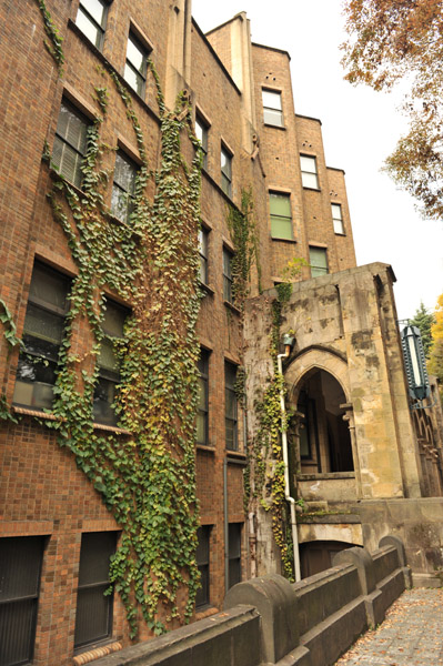 ������w�{���L�����p�X�̌���