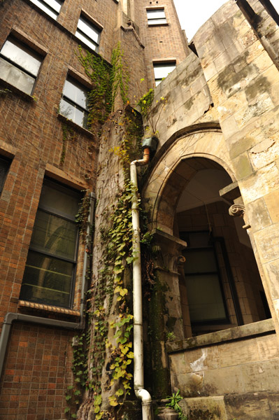 ������w�{���L�����p�X�̌���