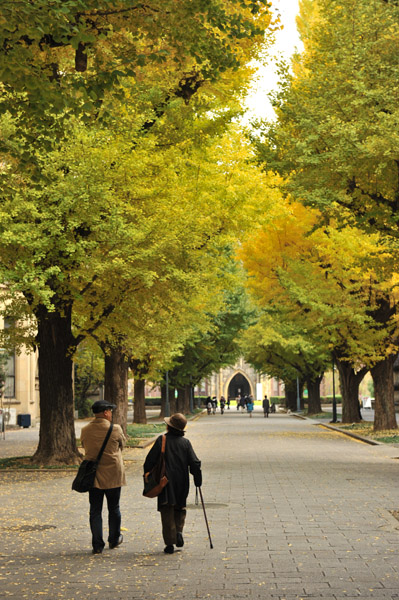 ������w�{���L�����p�X�̍g�t