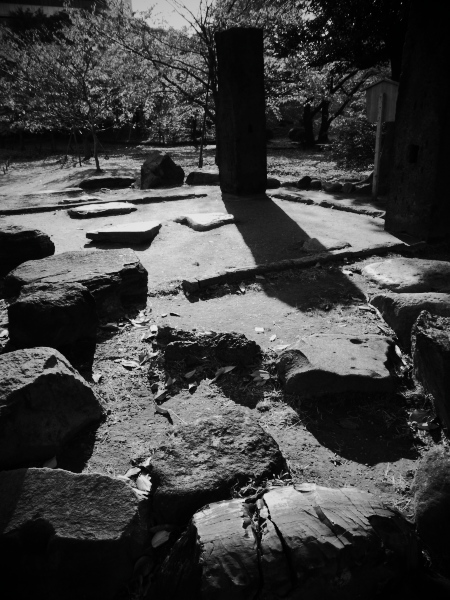 �f�W�^���g�C�J���������H