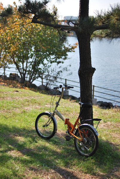 ���ӓ������C�l����