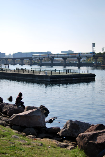 ���ӓ������C�l�����̕��i