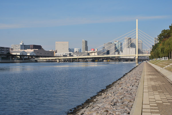 ���ӓ������C�l����