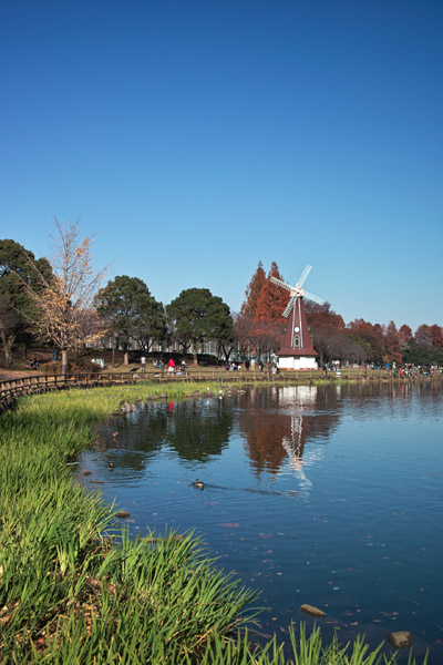 �ɐl�����̒r�̕��i