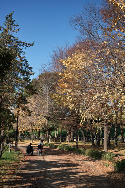 �H����~�Ɉڂ�ς�����ɐl�����̕��i