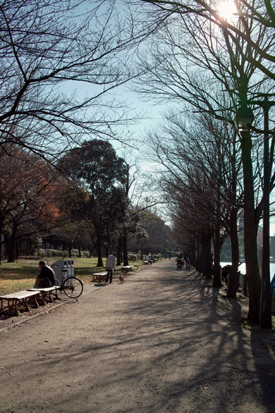 �ɐl�����ł̒ނ�̕��i