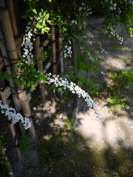 �k�����������ِV������