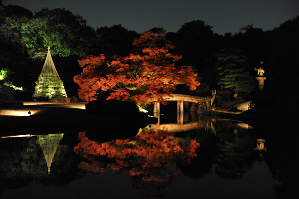 �Z�`���̃��C�g�A�b�v�g�t