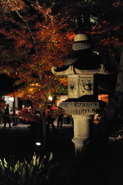 �Z�`���̃��C�g�A�b�v�g�t