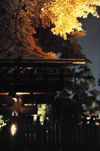 �Z�`���̃��C�g�A�b�v�g�t